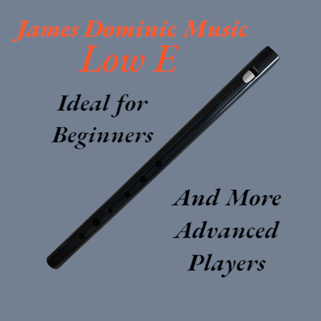 🎵 Low E Whistle: Pure Sound,