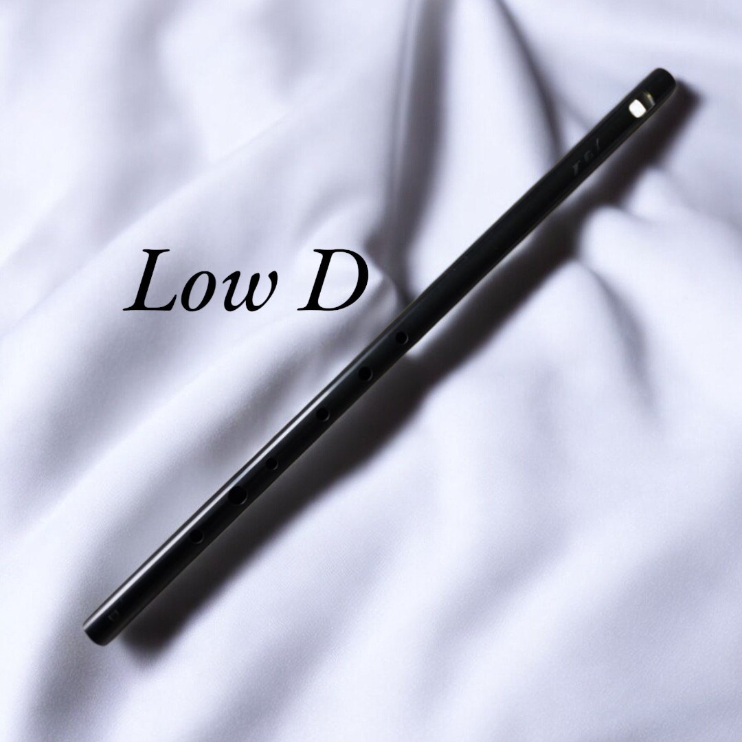 Low D Whistle