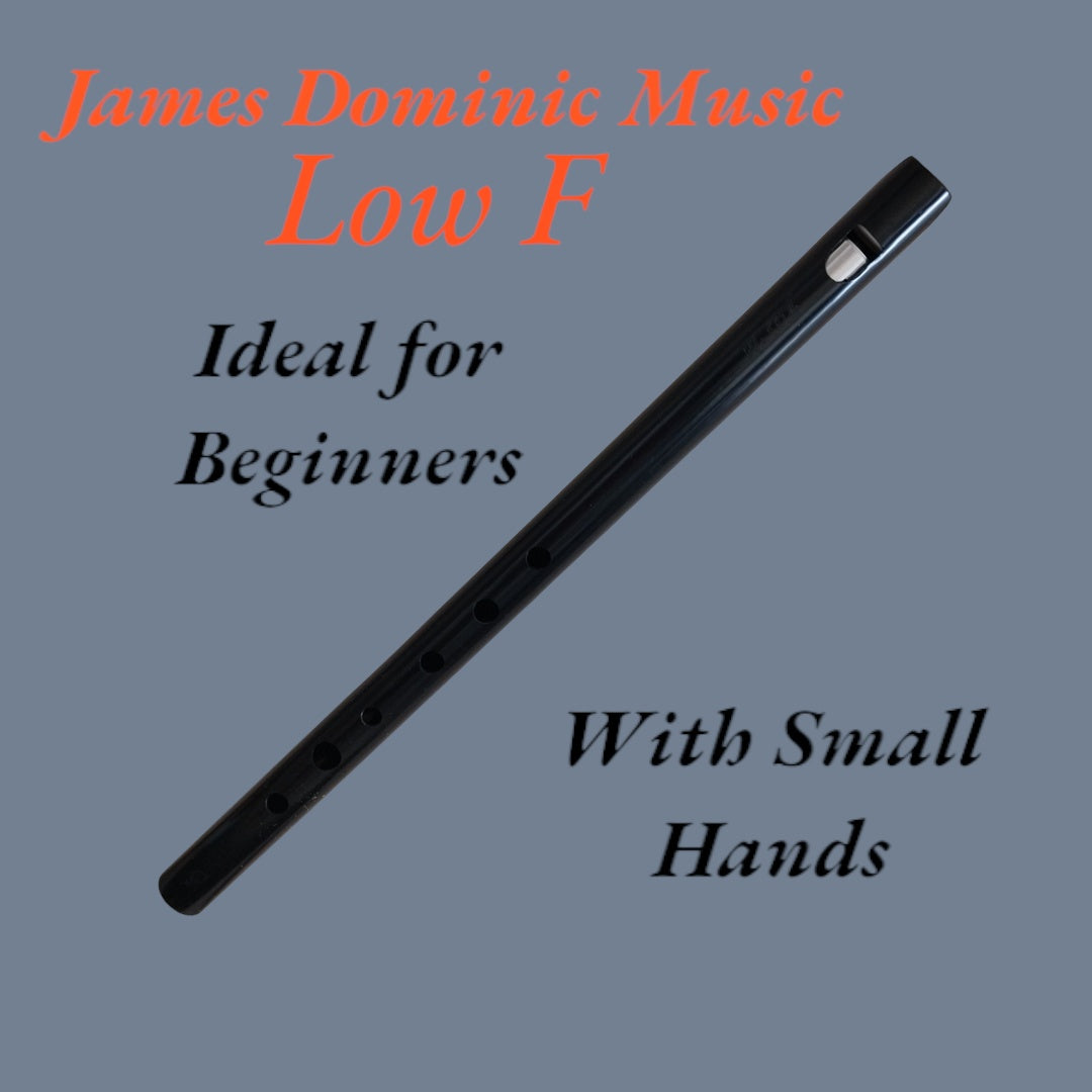 **🎵 Low G Whistle: Perfect Sound, Perfect Fit 🎵-James Dominic Music 